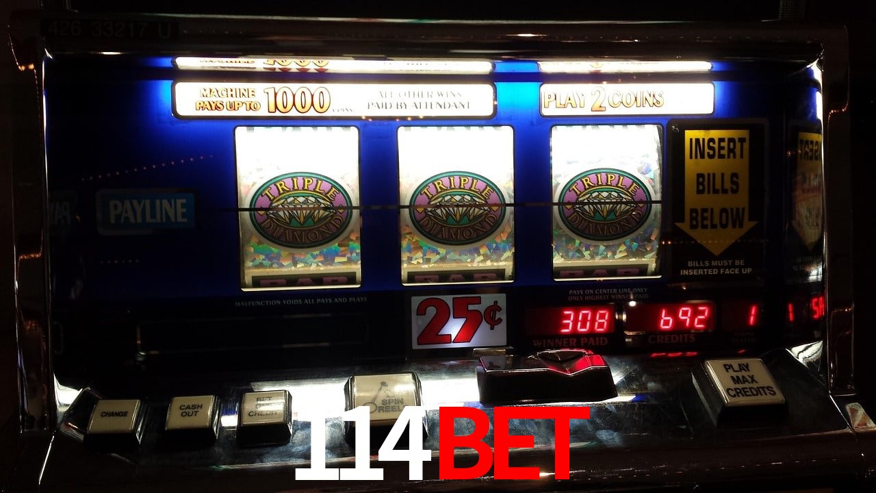 Sports Statistics 114Bet