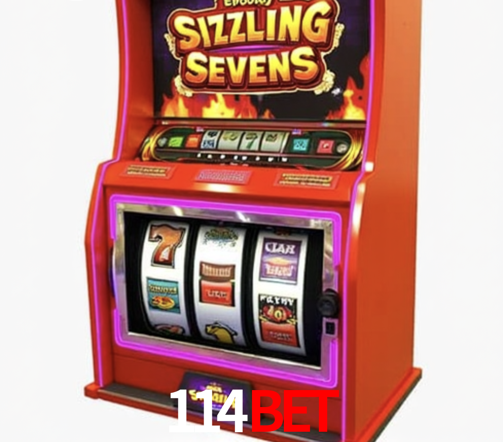 Security Systems 114Bet
